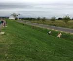 Swale