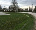 Roadside swale