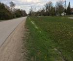Roadside swale