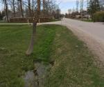 Roadside swale