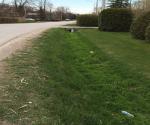 Roadside swale