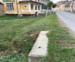 Roadside swale