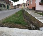 Roadside swale