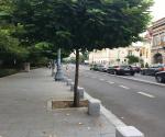 Tree pits
