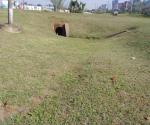 Basin inlets