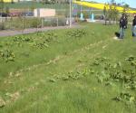 Field visit april 30th 2007 - credit by Antal Zuurman