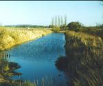 Clayland Pond