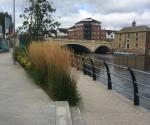 Raingarden