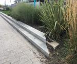 Raingarden