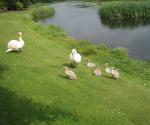 Stenton Pond