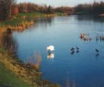 Stenton Pond