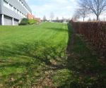 Swale site 2