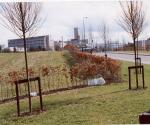 Swale site 2