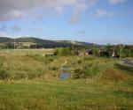 Extended Detention Basin