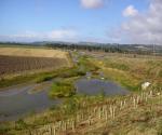 Extended Detention Basin