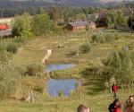 Extended Detention Basin