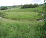 Pond 1