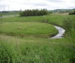 Pond 1
