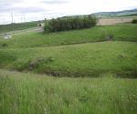 Pond 1