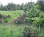 Pond 2