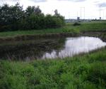 Pond 2