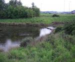 Pond 2