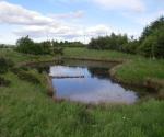 Pond 2