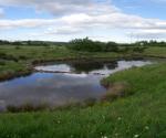 Pond 2