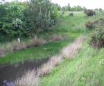 Pond 2