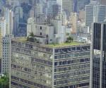 Green roof
