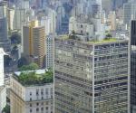 Green roof