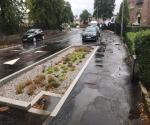 Croftpark Raingarden