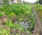 Linear Pond