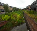 Linear Pond