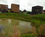 Pond
