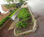 Raingarden