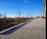 Raingardens image credit Gaye McKay