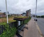 Bus stop green roof image credit MGSDP