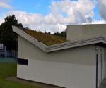 Molendinar Community Centre green roof Image credit MGSDP