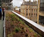 Glasgow school of art lower section green roof