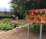 Strathclyde University Community Garden