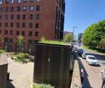 Electricity sub-station green roof