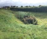 Detention basin