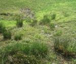 Highway Detention Basin at DEX