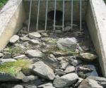 Highway Detention Basin in a roundabout at DEX