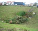 DEX Tesco Detention Basin 