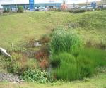 DEX Tesco Detention Basin 