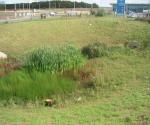 DEX Tesco Detention Basin 