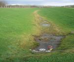 Swale 1 DEX link road