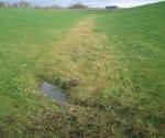 Swale 2 DEX link road